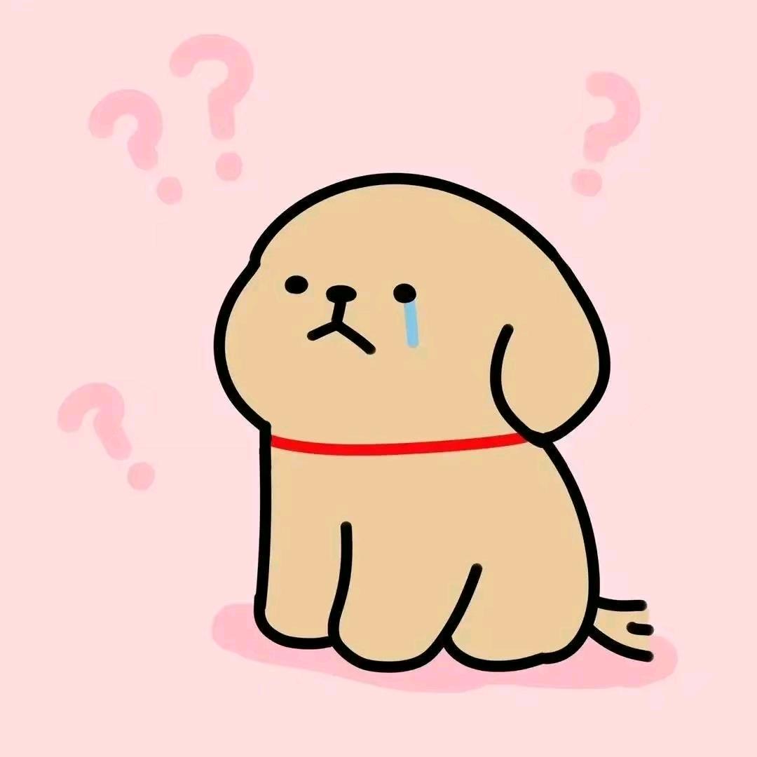 贝贝今天背书了么