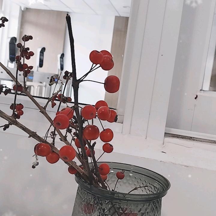 你家大姨