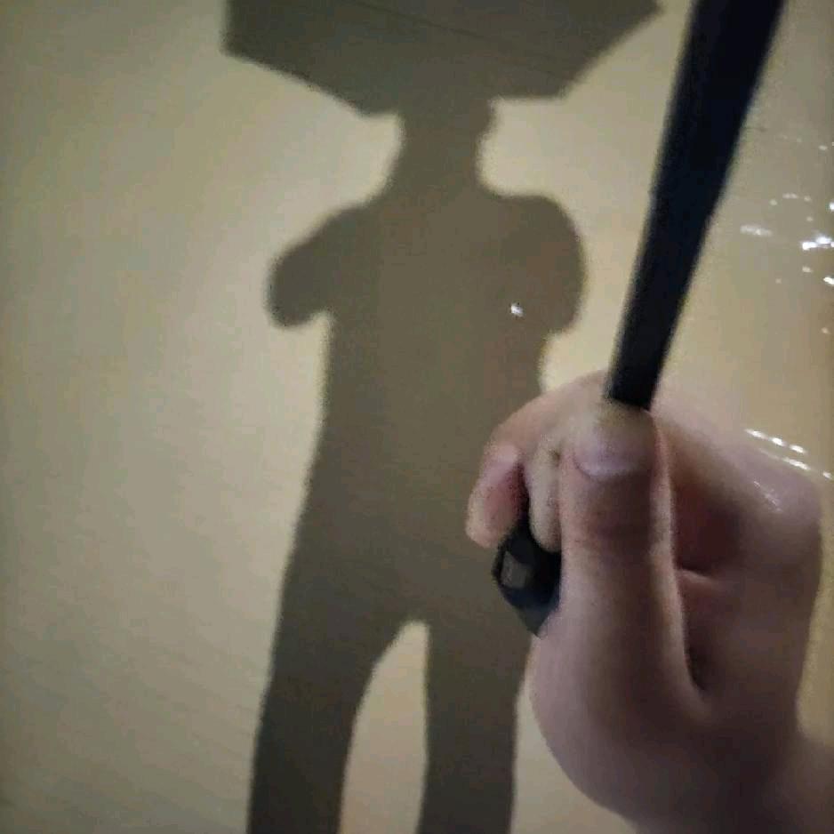 蓝桉——