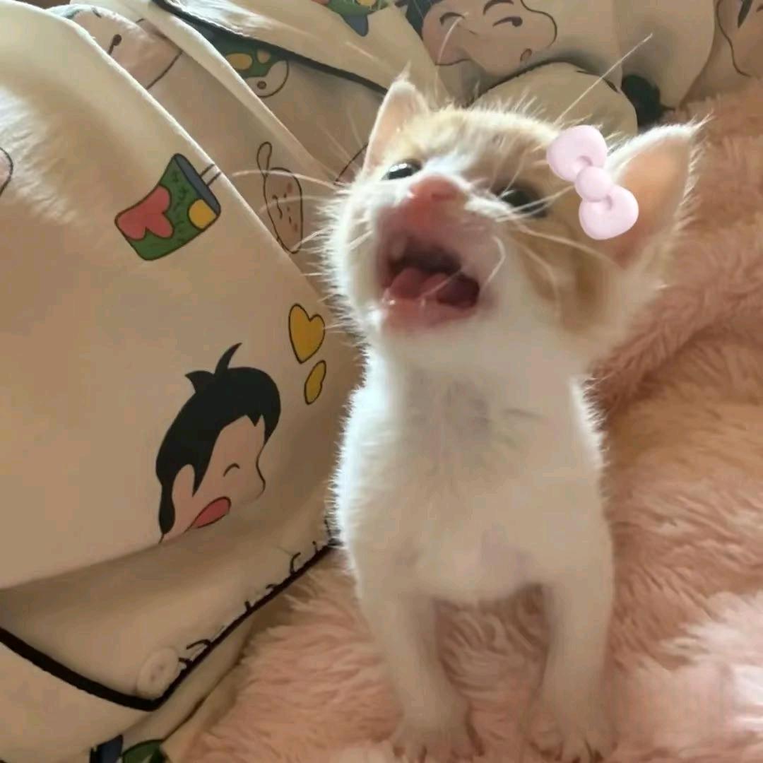 我爱吃米线(⑉°з°)-♡