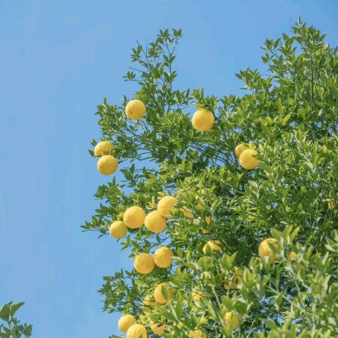 不发脾气只发财