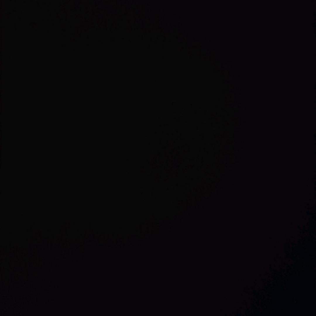 我被爱判处终身孤寂