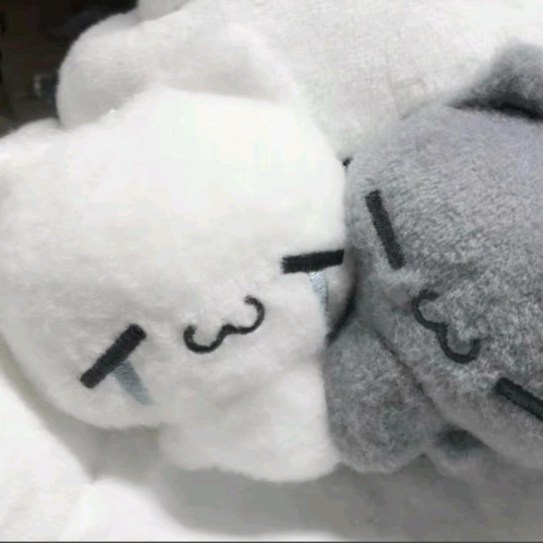 彤彤控、