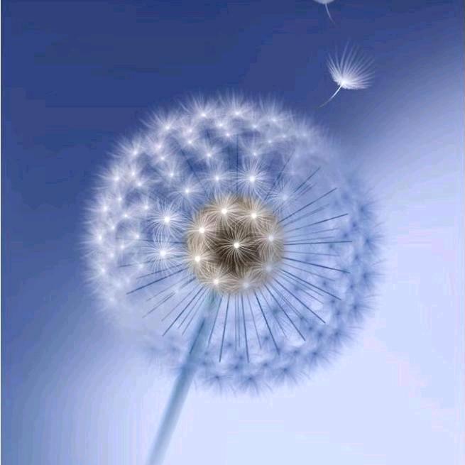 🌱万箭穿心🐋