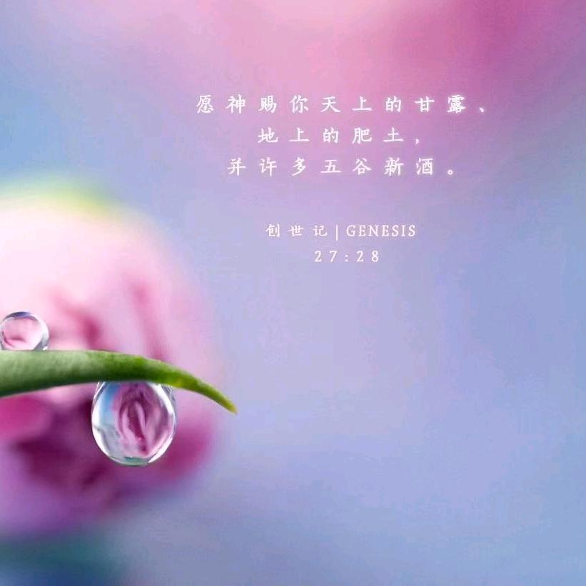 🌈竹林听雨