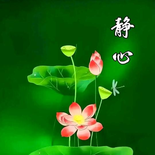 静心＆