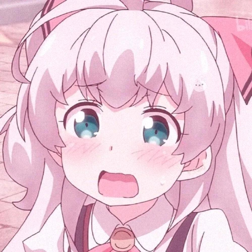 小新的日常分享