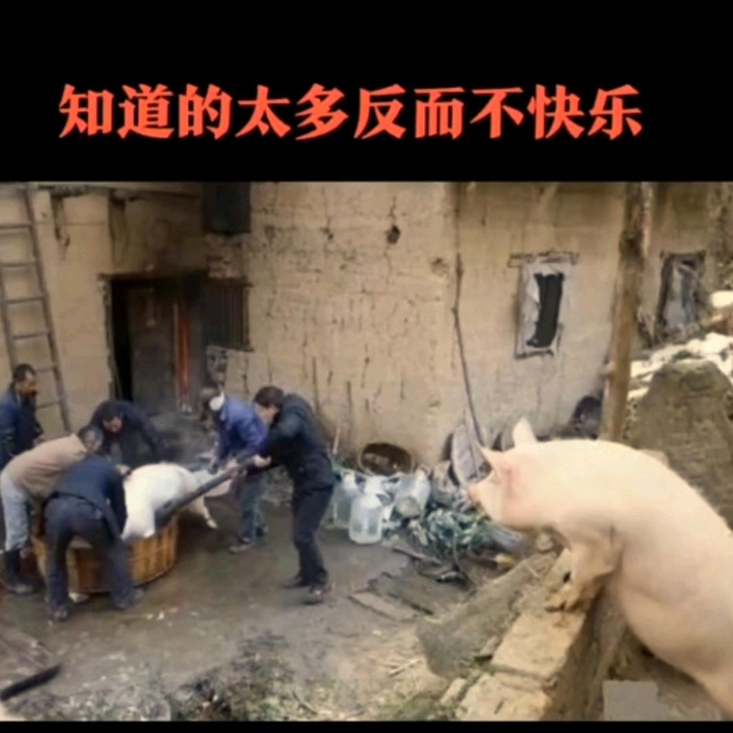 多说无益
