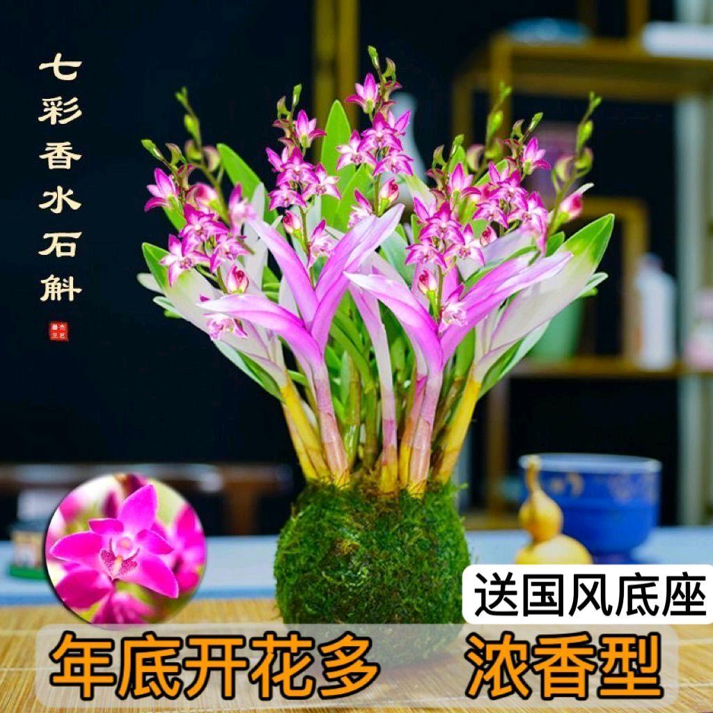 一生最爱的人就是你🐉🐀🌹🌹🌹