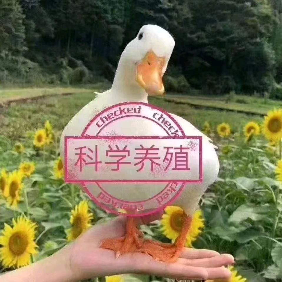 鸡鸭鹅农牧动保汇