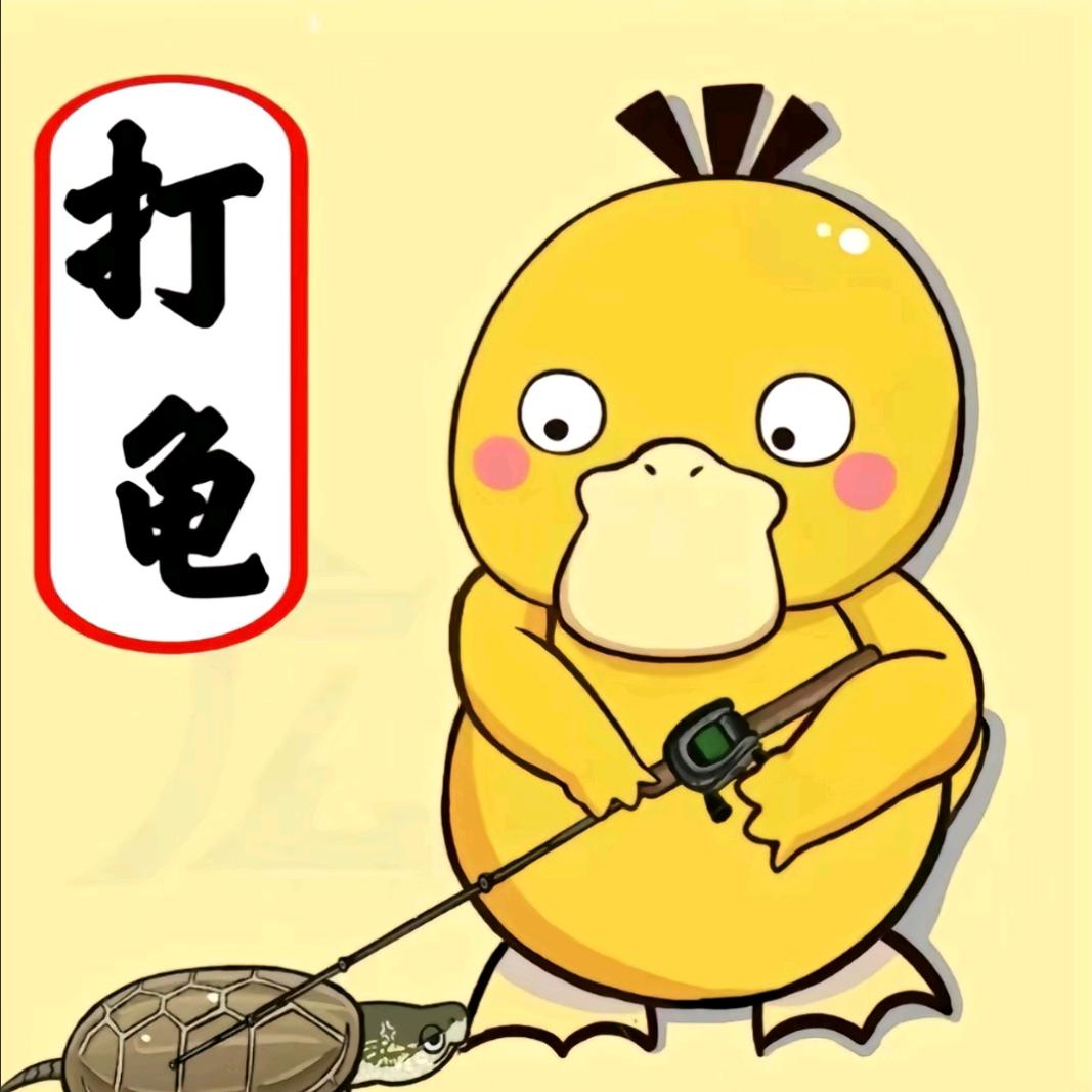 龟路漫漫