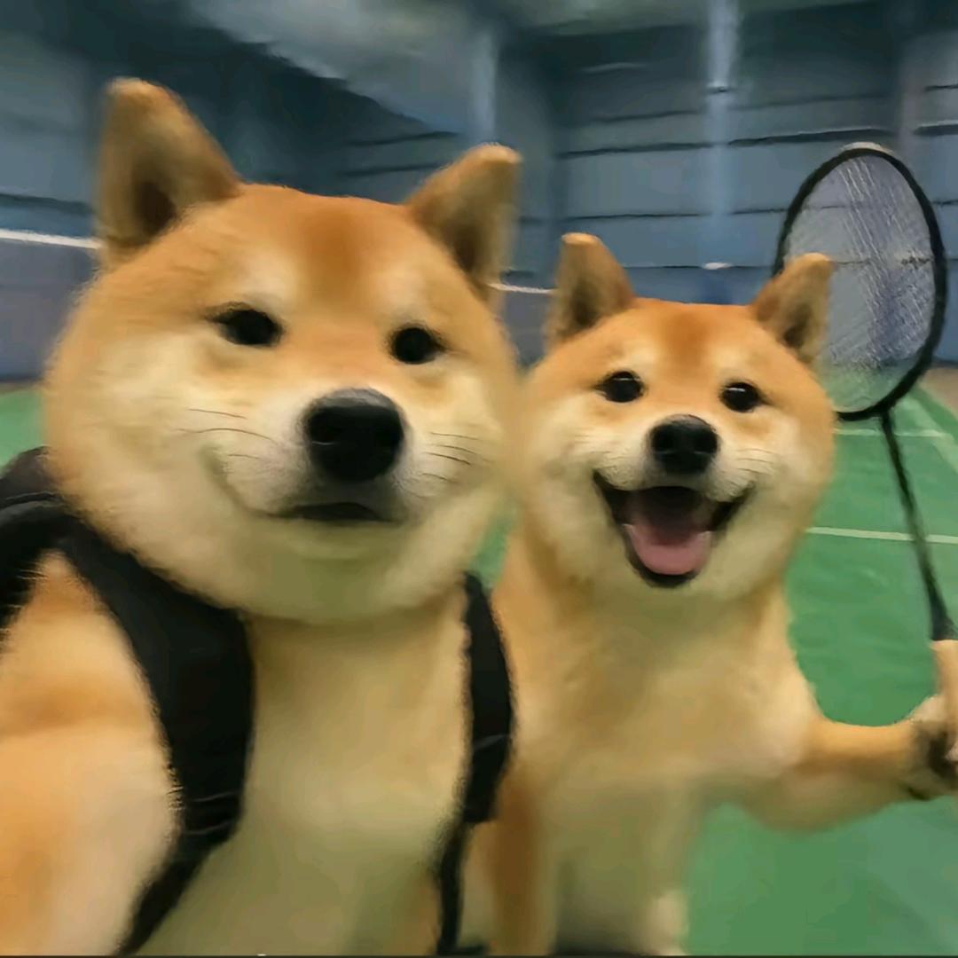 一条小卡卡OvO（）