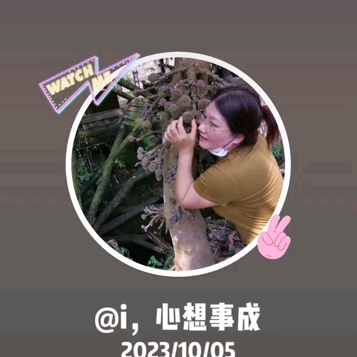 翠湖。868