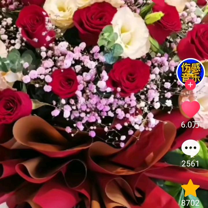 一帆风顺🚓💚💚💚