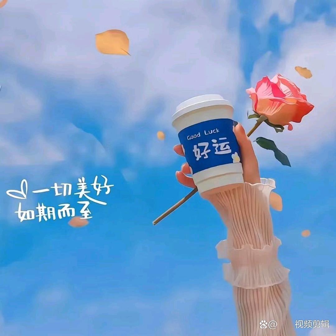 淡ૢ若ૢ清ૢ风ૢ