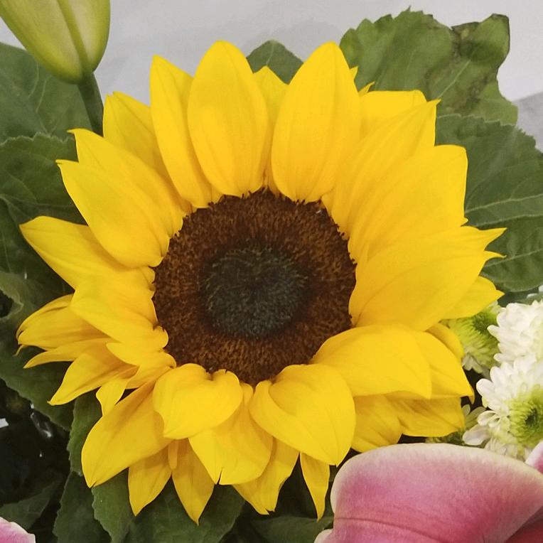 千年时光半盏清茶