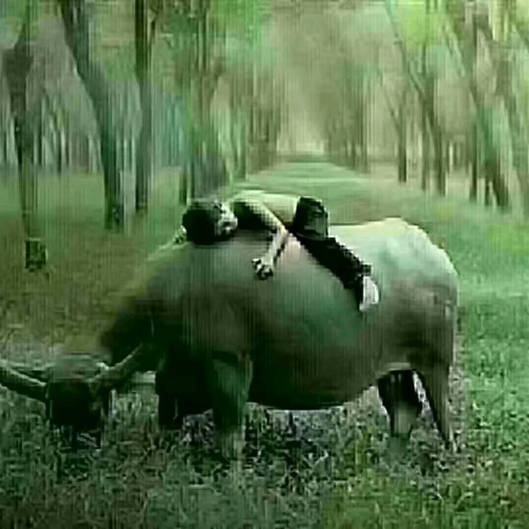 儒梦初醒$～～～孤单@……