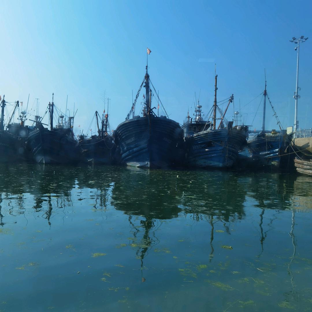 陌生的海岸