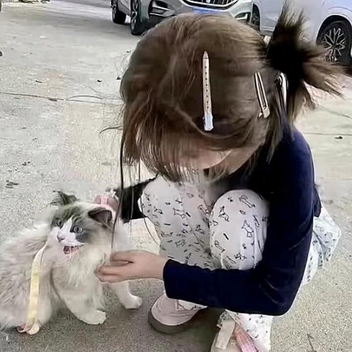 ℳ̶̶̶̶♡̶҉曹ℳ