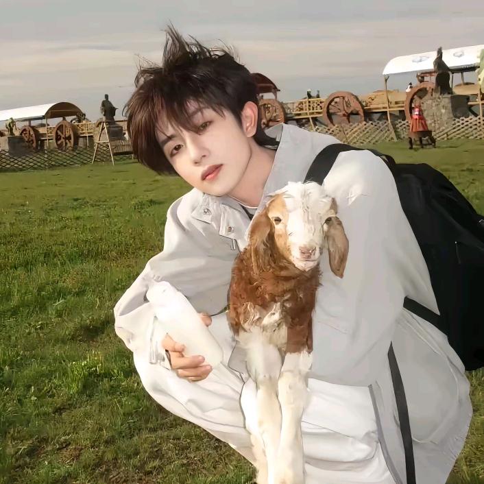 宸光(12.8生日版)