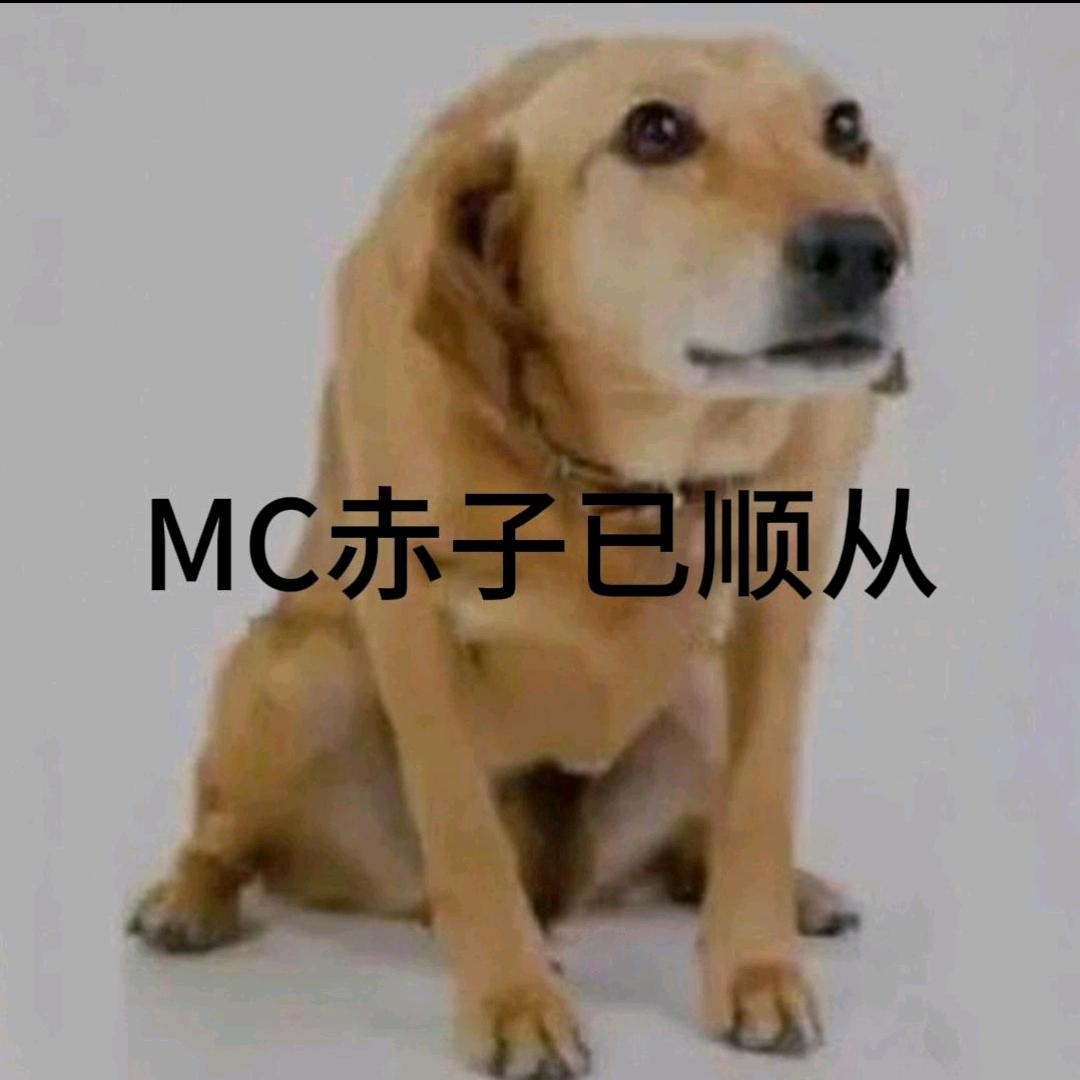 反MC第一大队长（散兵学长）