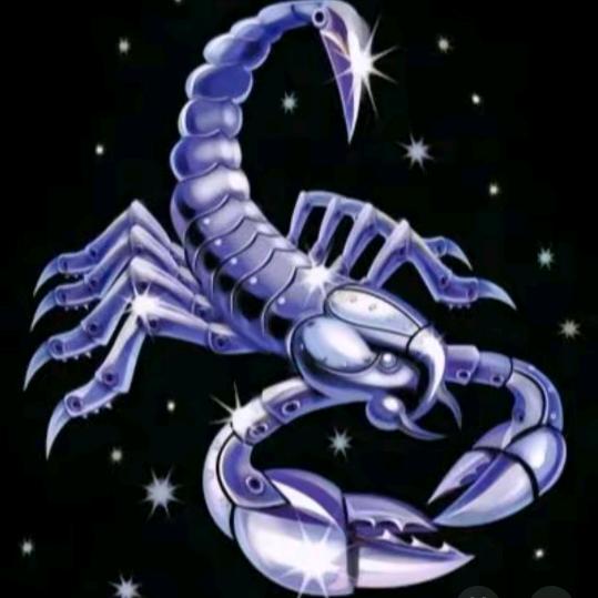 创优线缆（主打反骨）