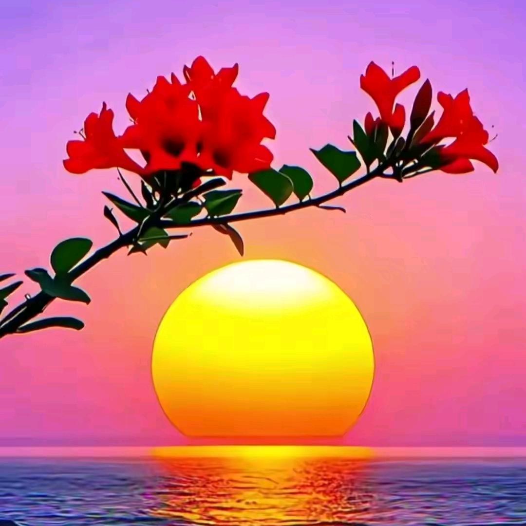 🐠雨过添情🐬