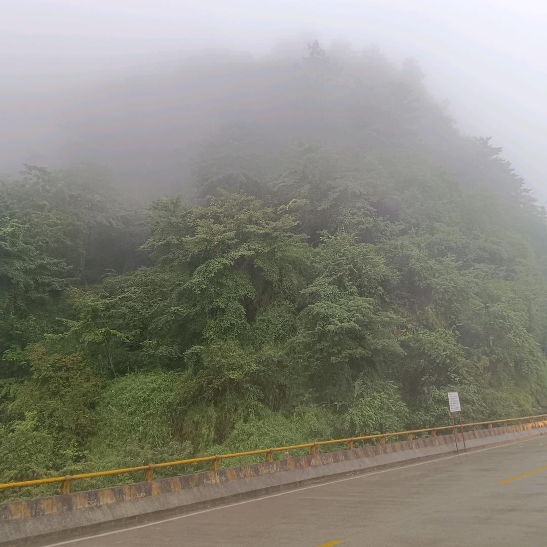 任流年肆意放纵