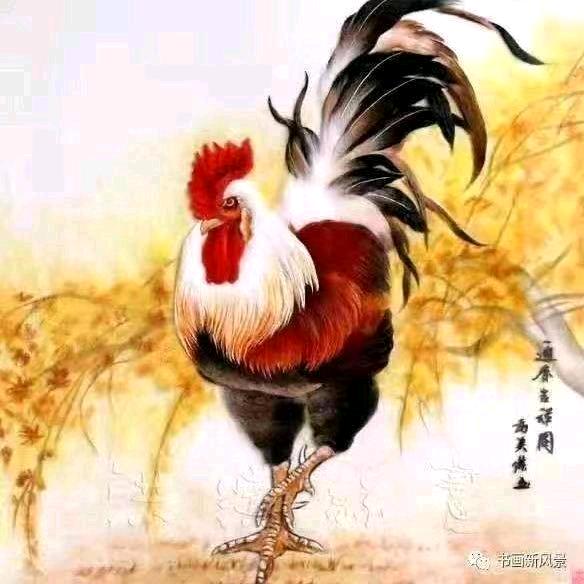 🇨🇳大掌柜🤷‍♂️