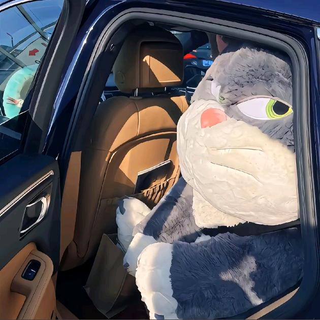 武汉·房探小磊（招人）