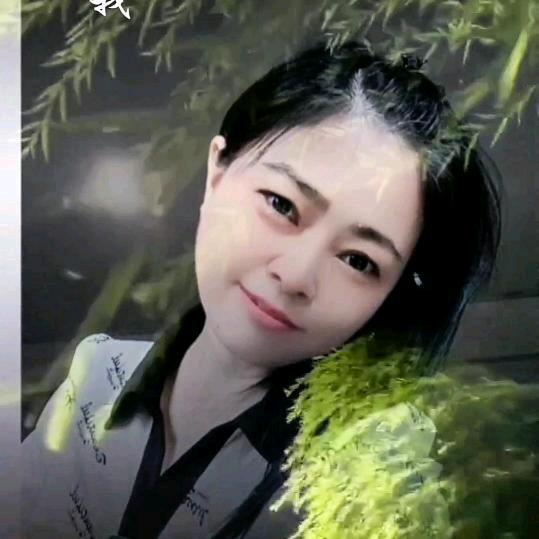 金庚淼