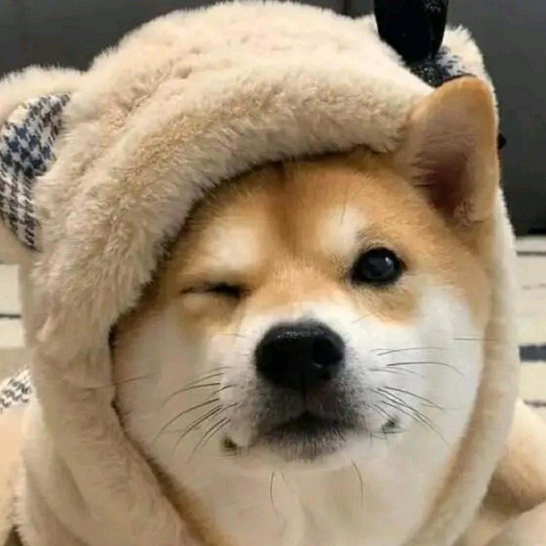 碎嘴六