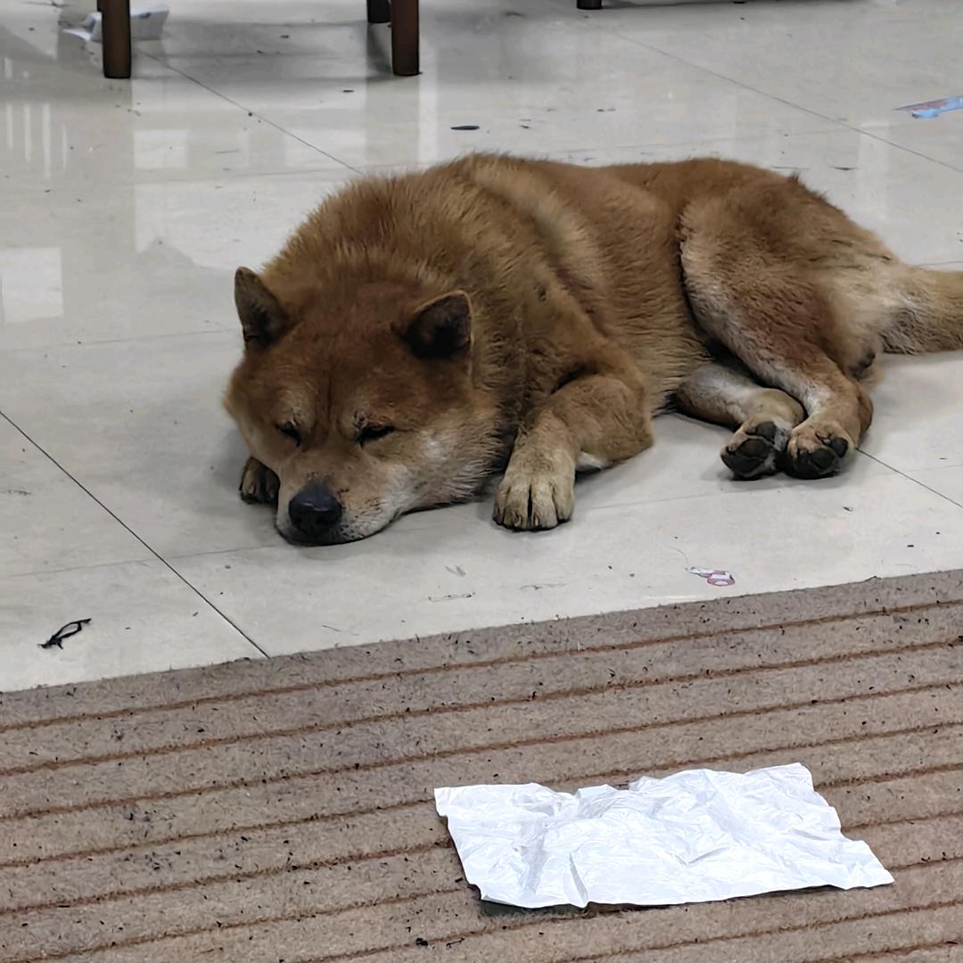 小李飞刀