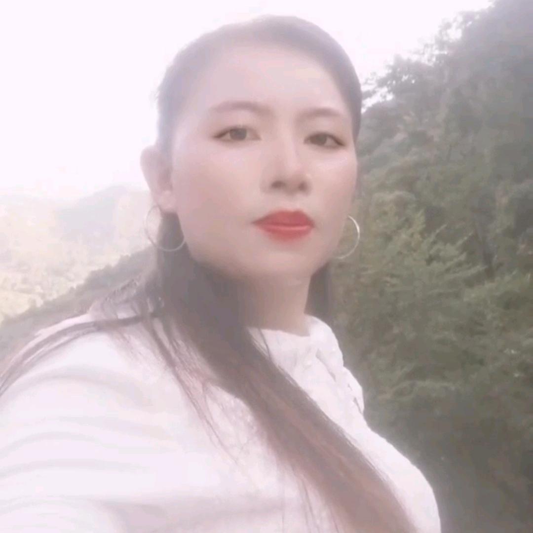 杨珍珍