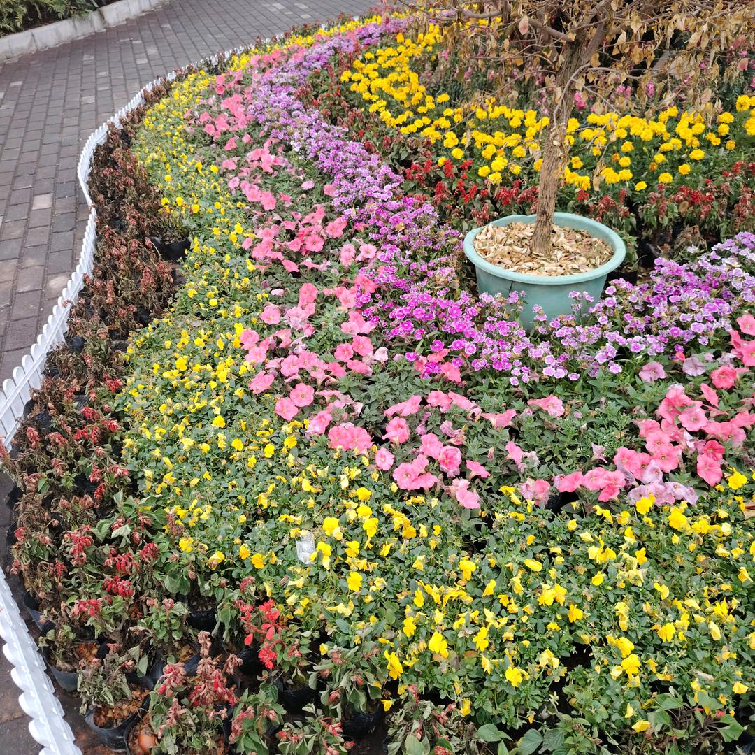 夜看免费的小说