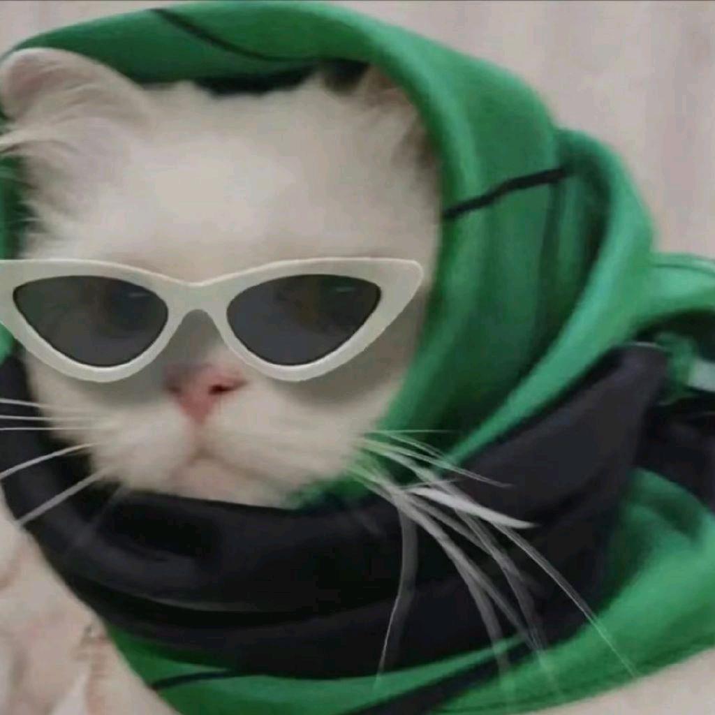 ₍˄·͈༝·͈˄*₎◞ ̑̑