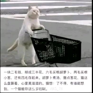 咸鱼之王