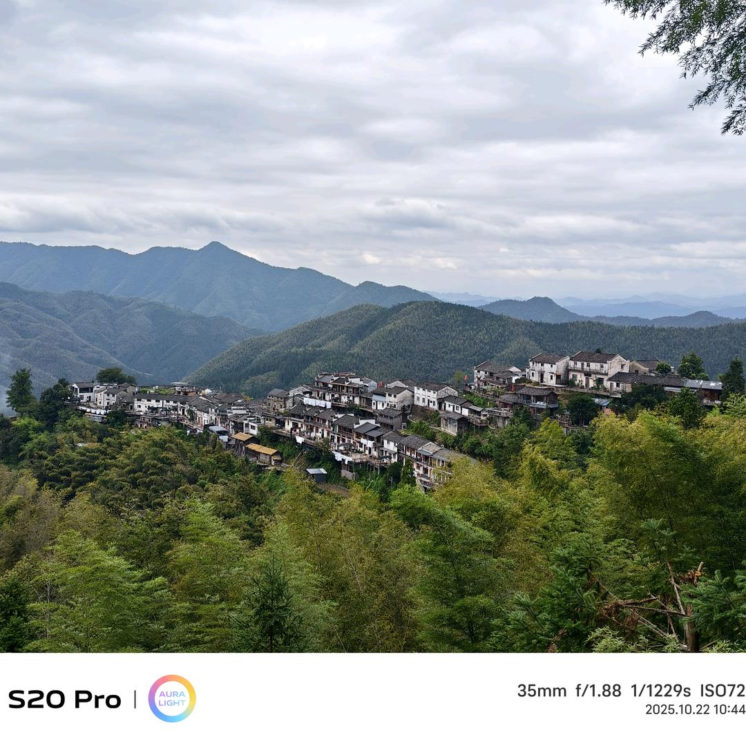 宝葫茶业 供应链