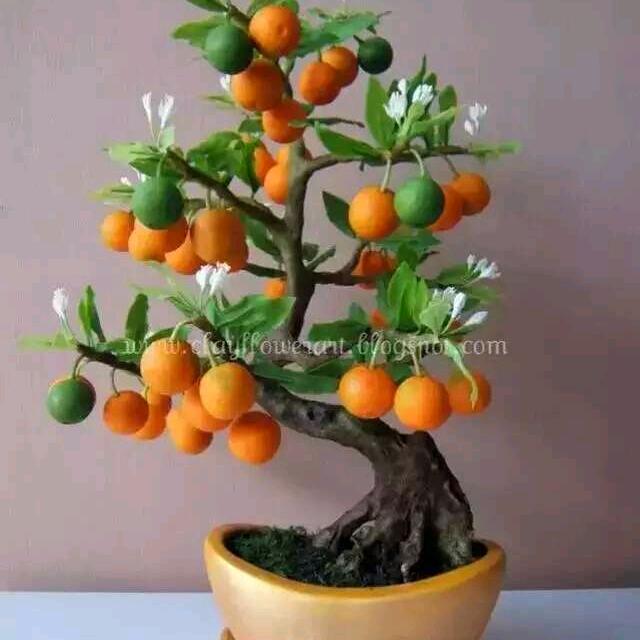 沉默