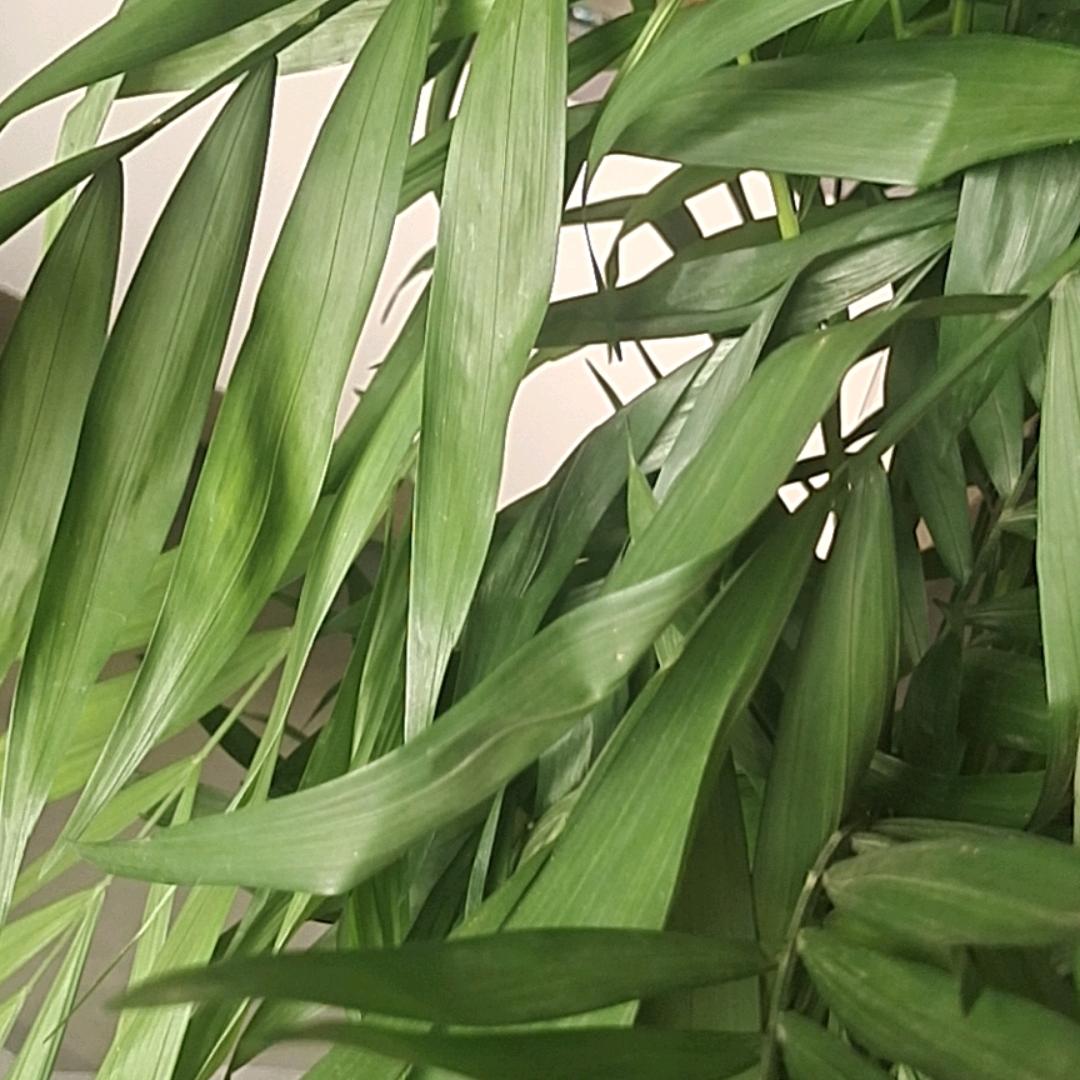 城市套路深，我要回农村。