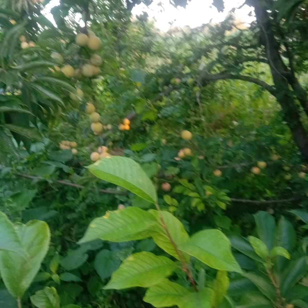一路顺风