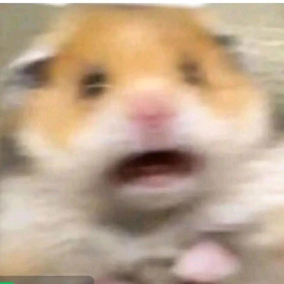 三角洲行动_JUJUBOY