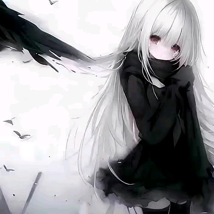 新用户