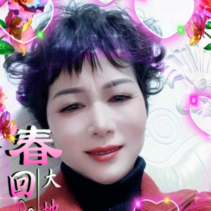 善桂（花开富贵8）