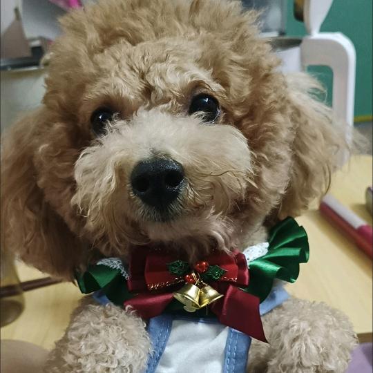 流浪地球🌐 筱玉༊