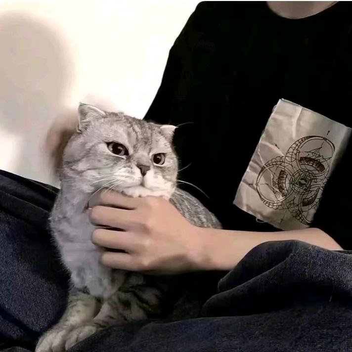 聆听雪的声音