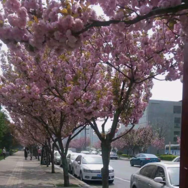 用户32758605