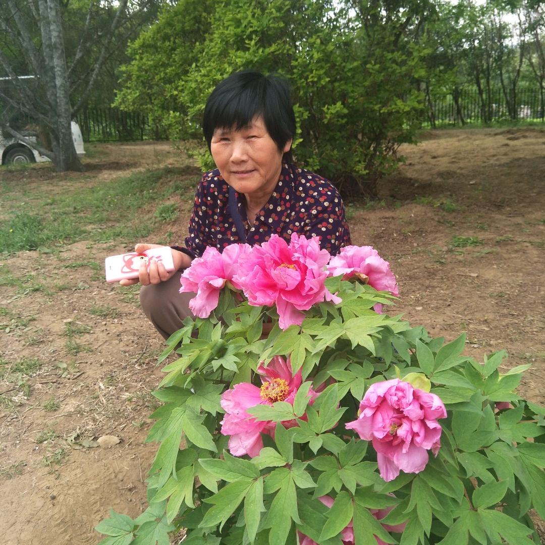 红红灯笼