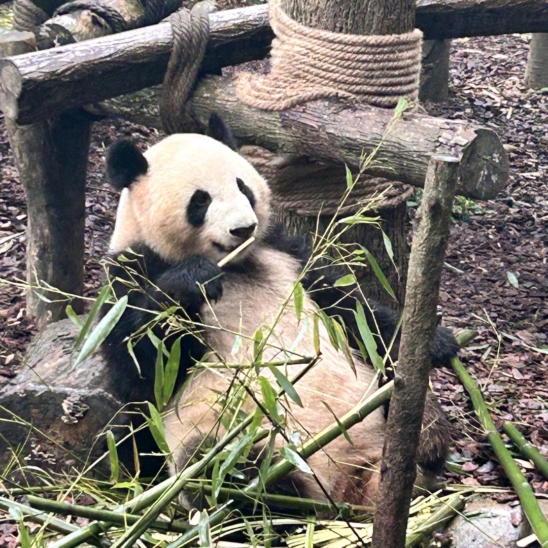 笑敬&过往*&
