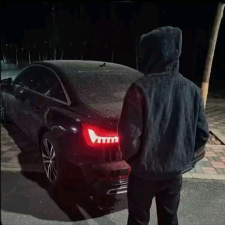 𝙕